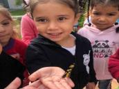 As professoras do Núcleo de Educação Infantil Municipal  Chico Mendes criaram um borboletário com o auxílio das crianças de 3 a 4 anos