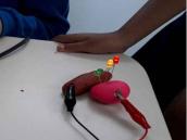 as crianças puderam observar o funcionamento de um circuito elétrico, a maneira que acontece o contato, a condução e a interrupção da corrente.