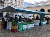Feira Cultiva Floripa retorna para a Praça da Alfândega