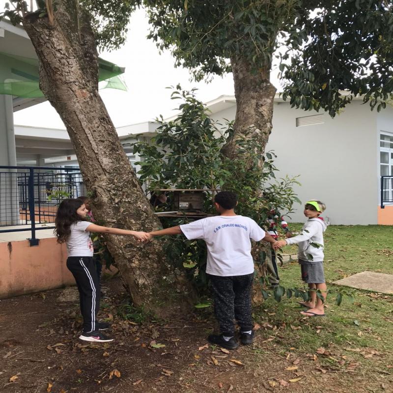 Os insetos ajudaram na polinização das plantas do Bairro Pontas das Canas e despertaram a curiosidade e o interesse dos estudantes e familiares.